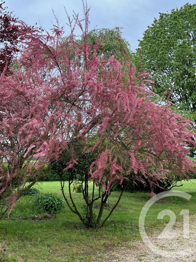 maison à vendre - 7 pièces - 180.0 m2 - MARINES - 95 - ILE-DE-FRANCE - Century 21 Osmose